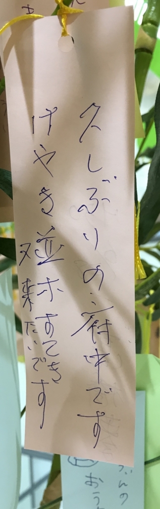 f:id:marehoooo:20180706112403j:plain