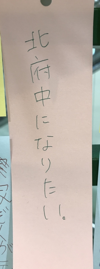 f:id:marehoooo:20180706112410j:plain