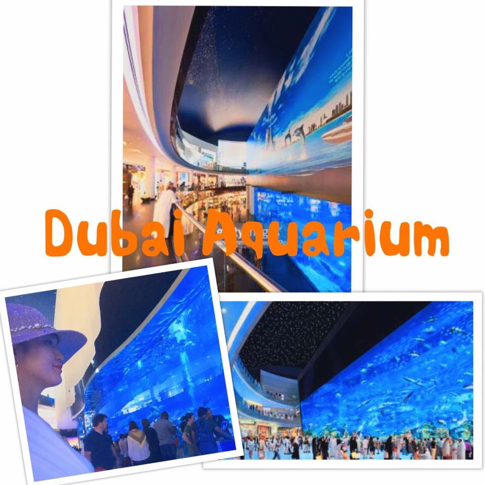 f:id:mareka51:20180930235143j:plain