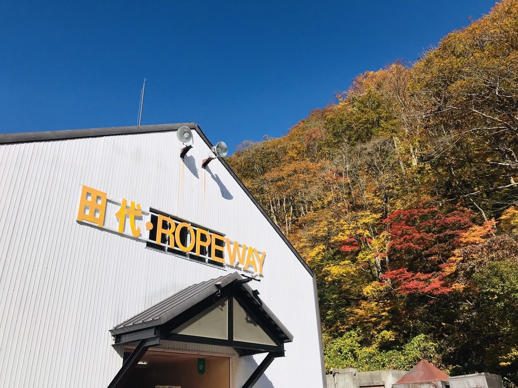 f:id:mareka51:20181029194144j:plain