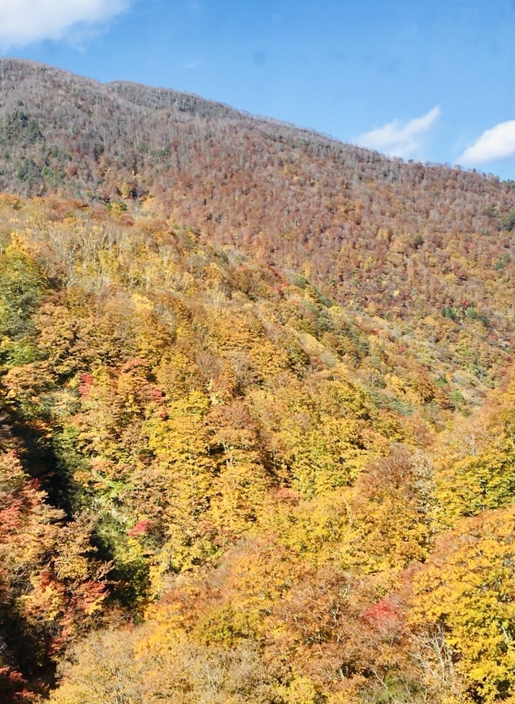 f:id:mareka51:20181029194616j:plain