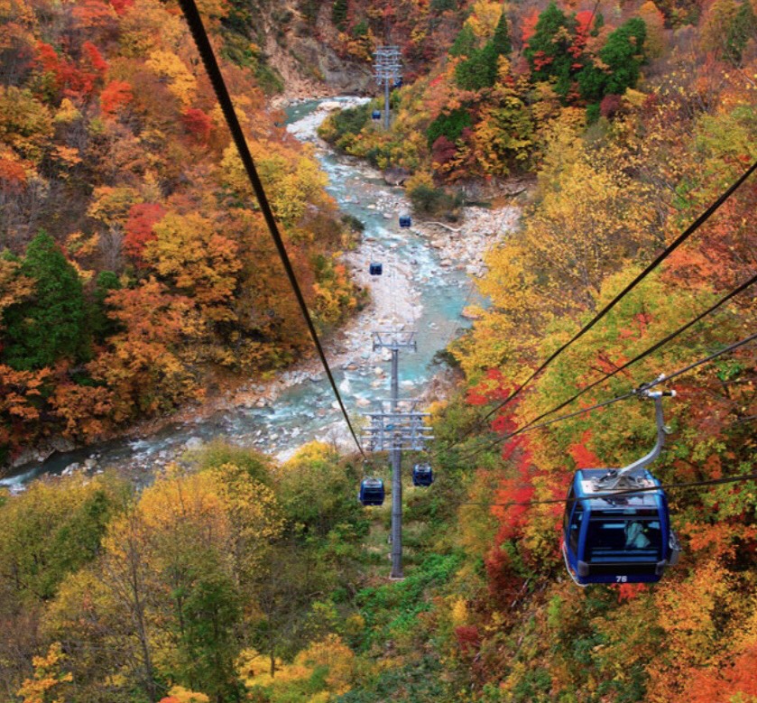 f:id:mareka51:20181030192050j:plain