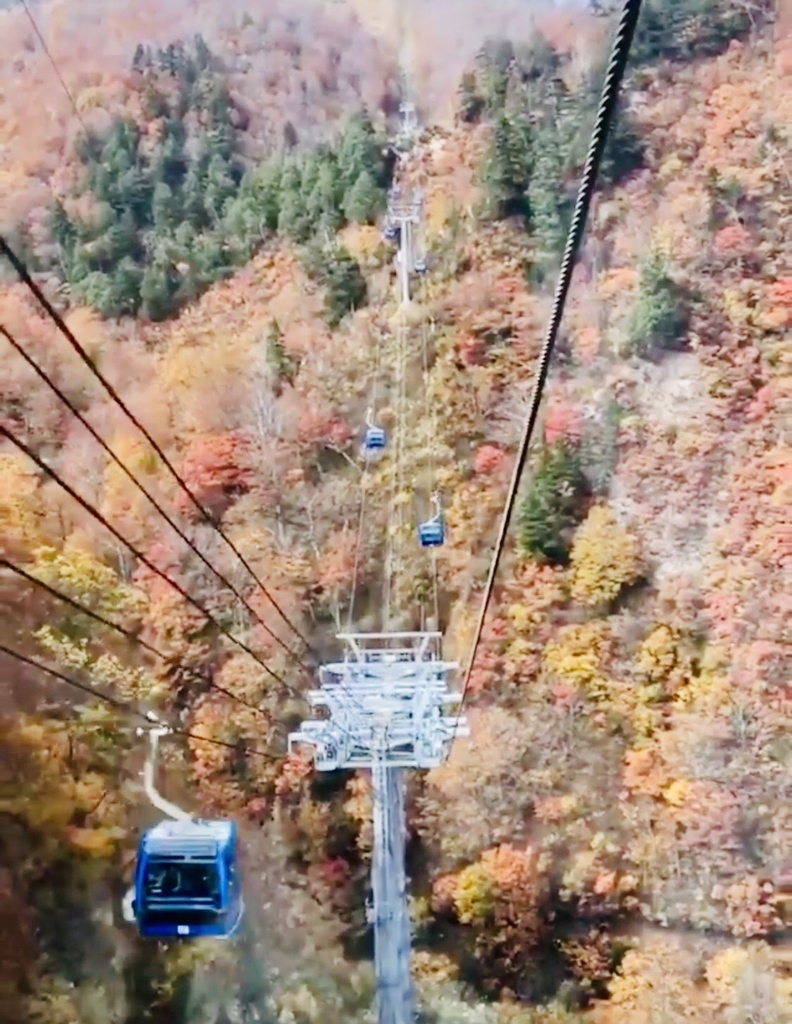 f:id:mareka51:20181030192104j:plain