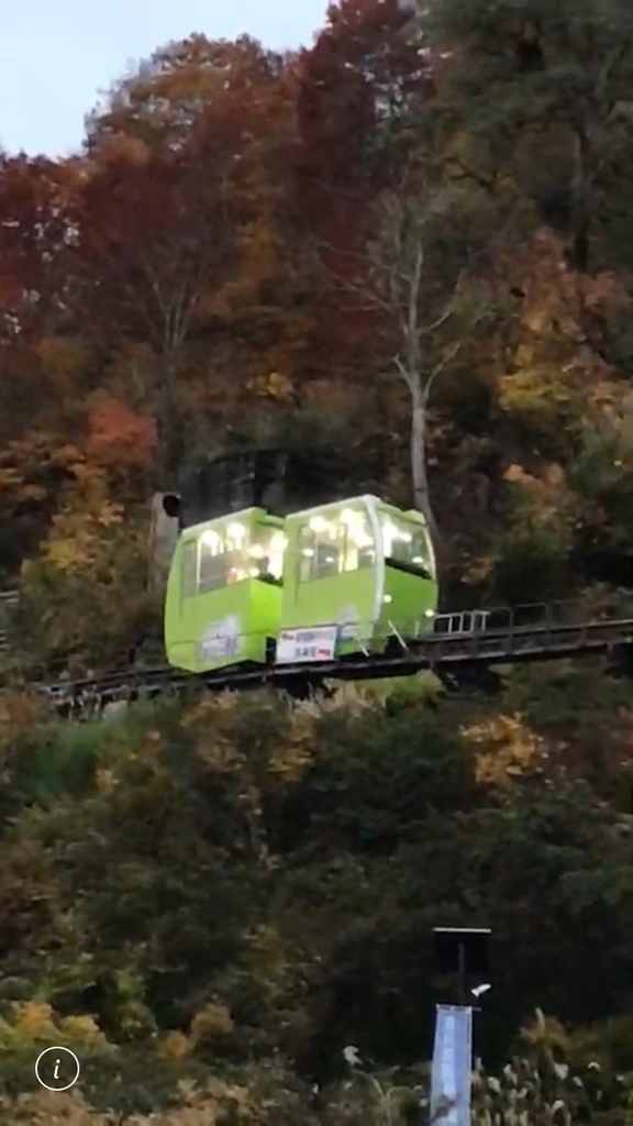 f:id:mareka51:20181030192528j:plain