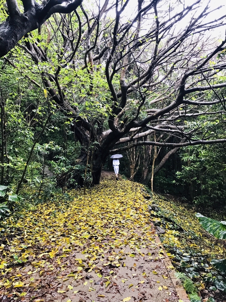 f:id:mareka51:20181103211745j:plain f:id:mareka51:20181103211745j:plain