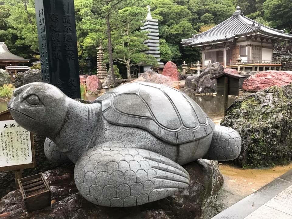 f:id:mareka51:20181103213534j:plain f:id:mareka51:20181103213534j:plain