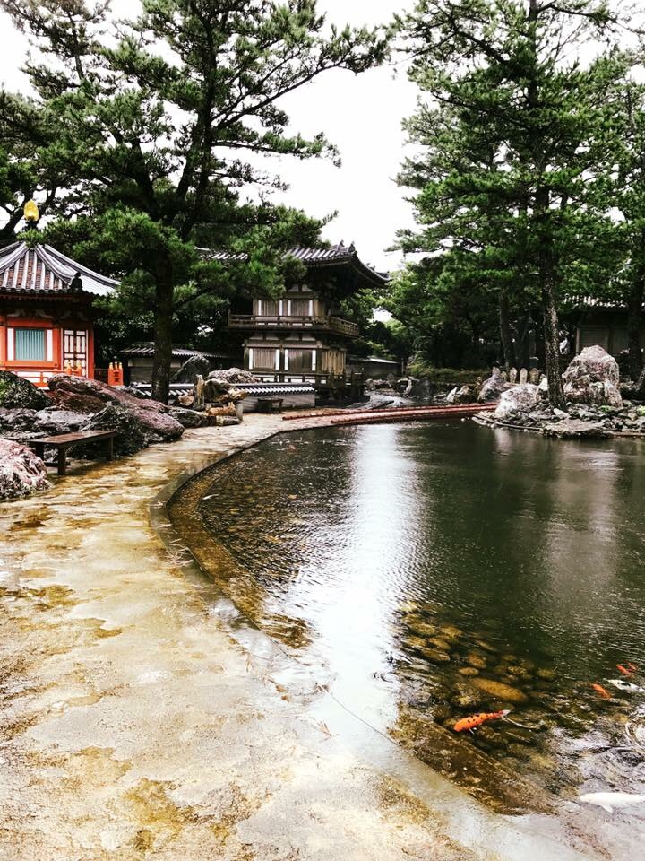 f:id:mareka51:20181103213546j:plain f:id:mareka51:20181103213546j:plain