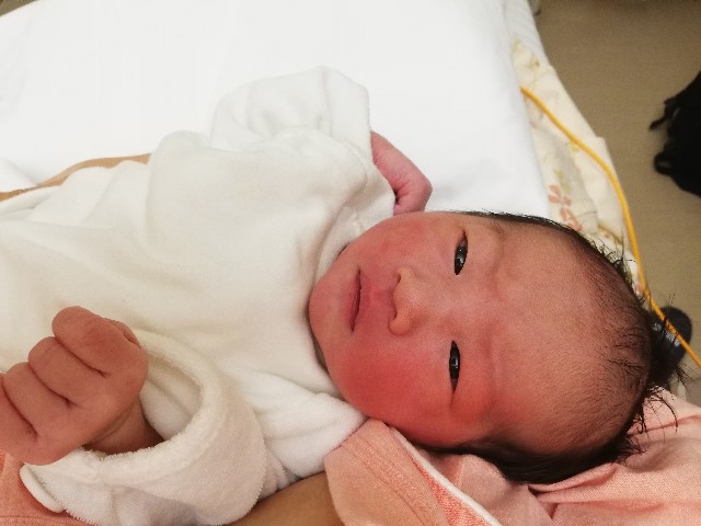 f:id:mareka51:20181231154026j:image