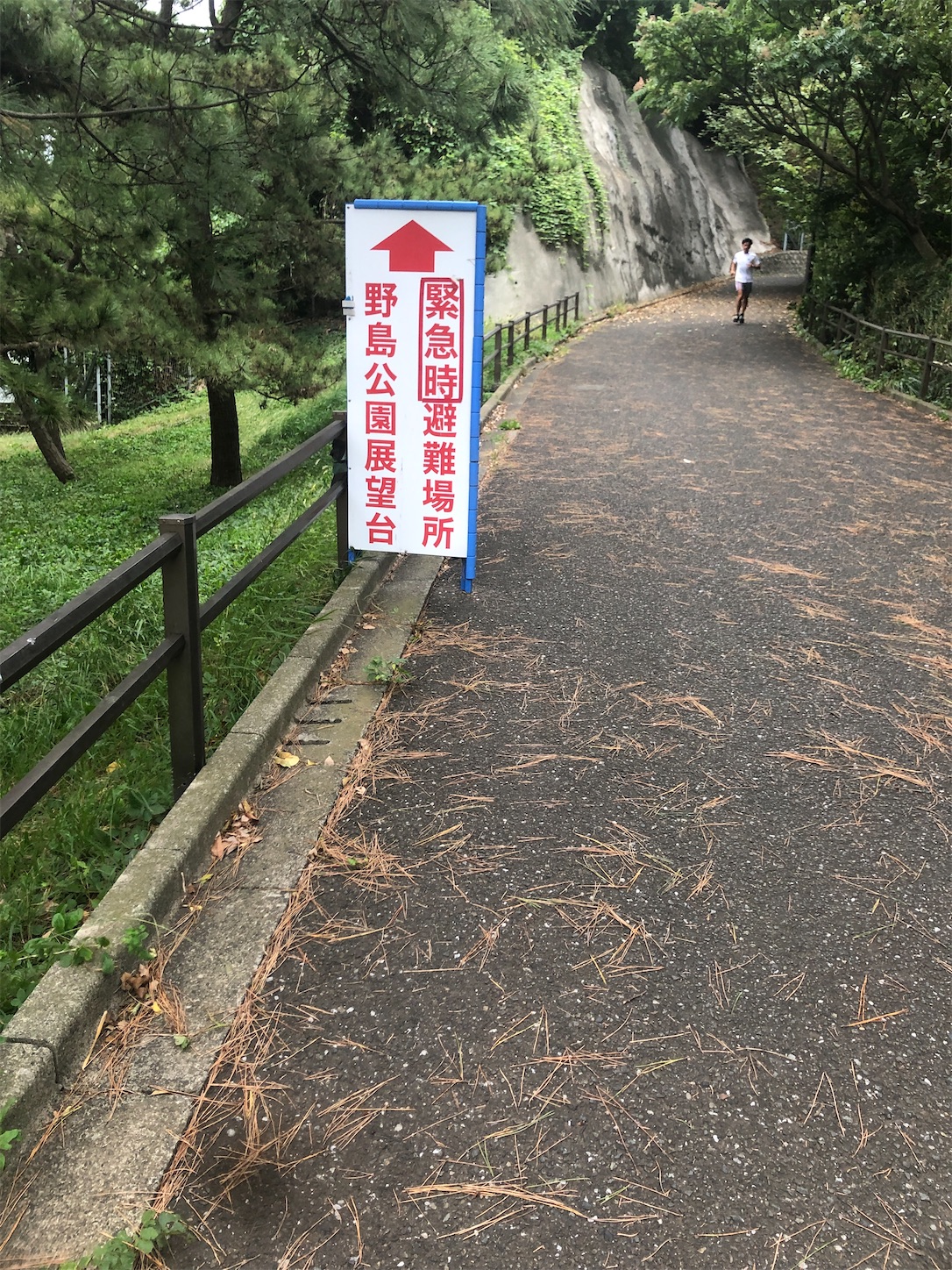 f:id:marginal_rabbit:20241027234226j:image
