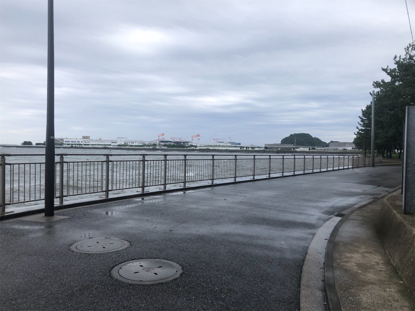 f:id:marginal_rabbit:20241027234735j:image