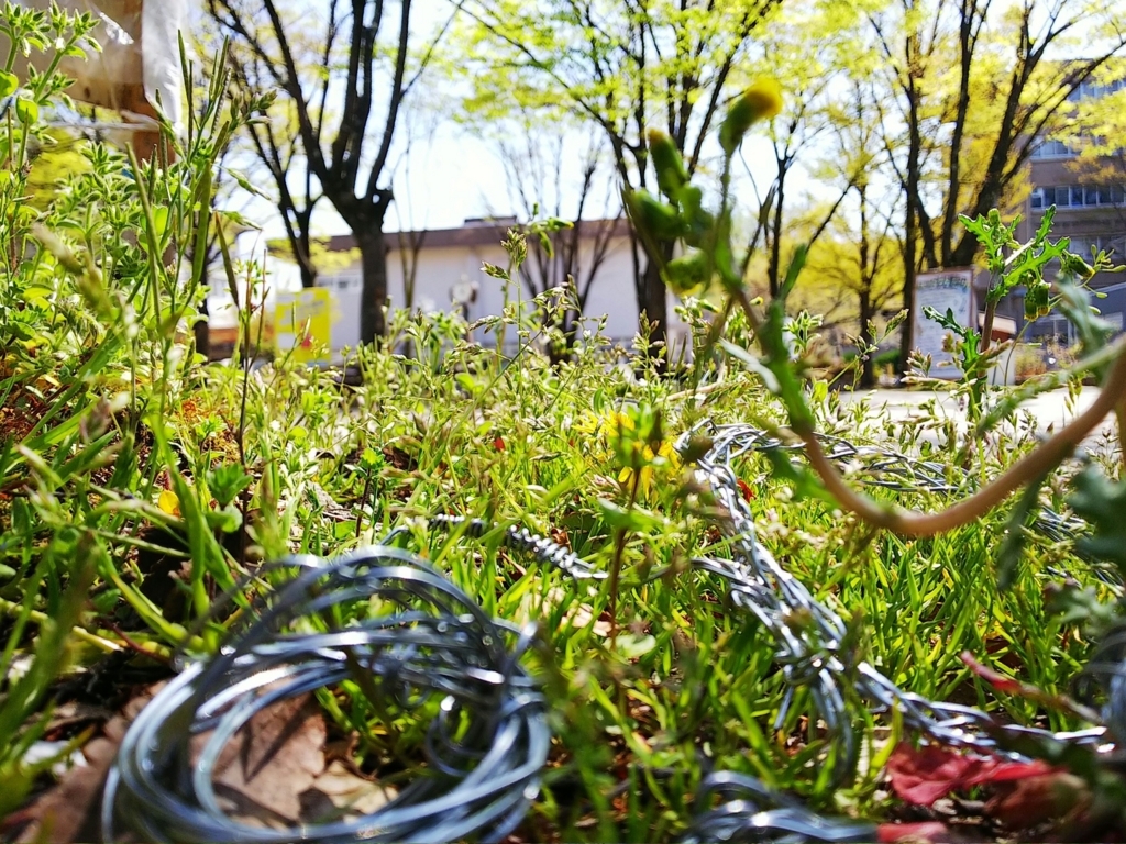 f:id:marginalartlab:20180526091643j:plain