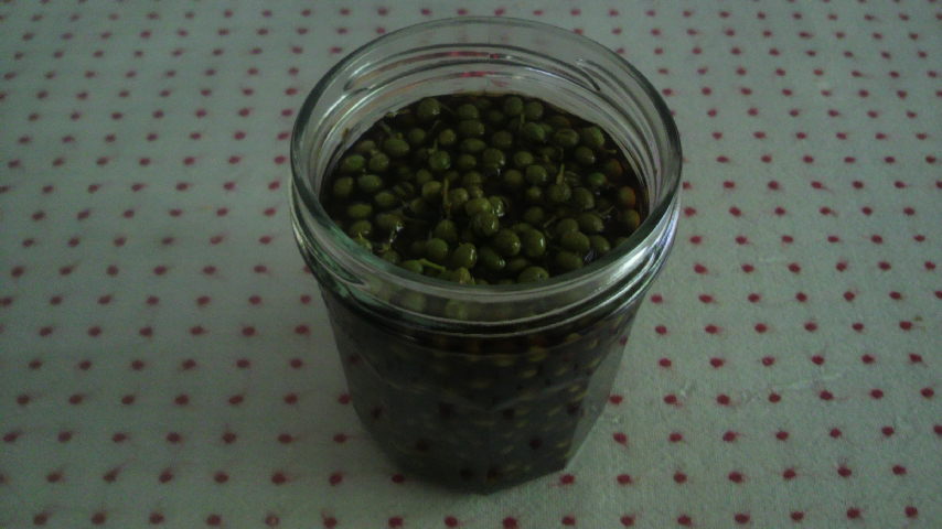 f:id:margrete:20180601165313j:plain