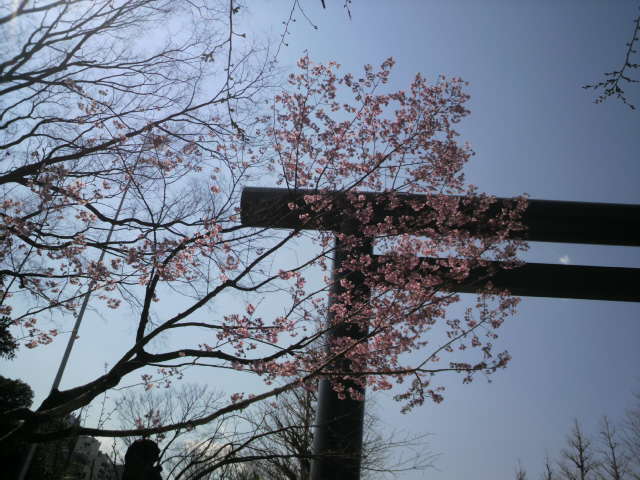 f:id:margrete:20200319171228j:plain f:id:margrete:20200319171228j:plain