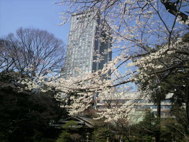 f:id:margrete:20200319171408j:plain f:id:margrete:20200319171408j:plain