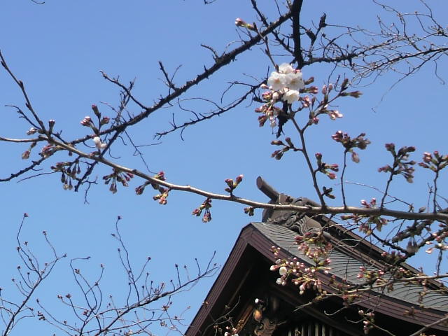 f:id:margrete:20200319171551j:plain f:id:margrete:20200319171551j:plain