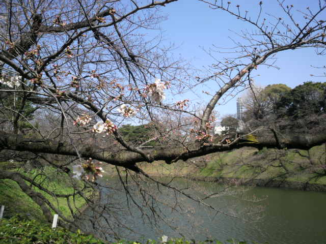 f:id:margrete:20200319171816j:plain f:id:margrete:20200319171816j:plain