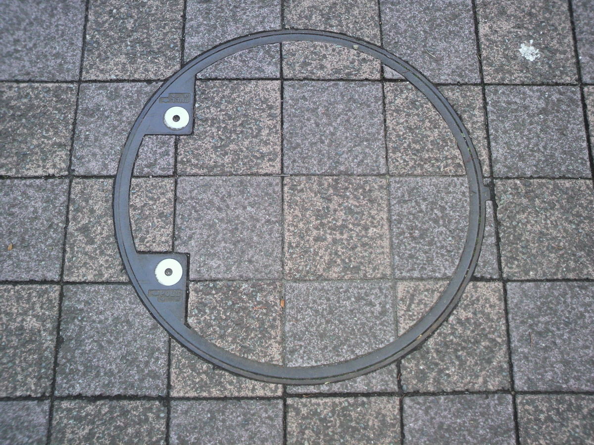 f:id:margrete:20210131131111j:plain