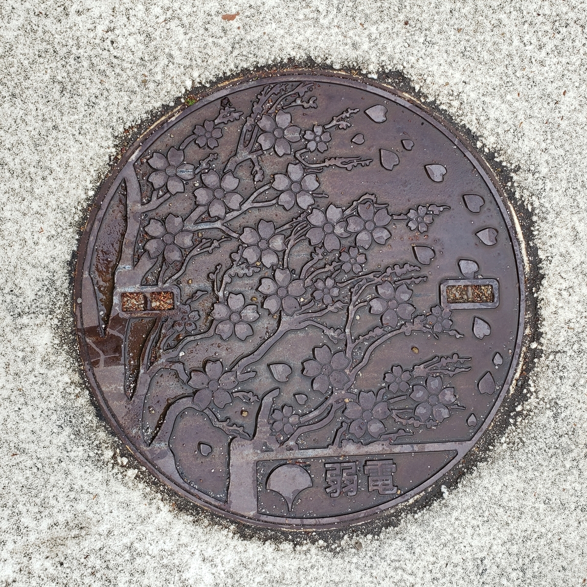 f:id:margrete:20210414103315j:plain