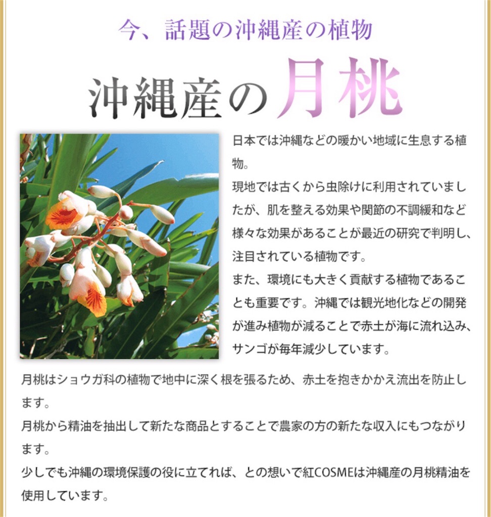 f:id:mari0904:20180213212735j:image f:id:mari0904:20180213212735j:image