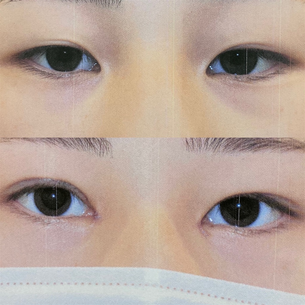 f:id:mari1128riri:20210517223813j:image