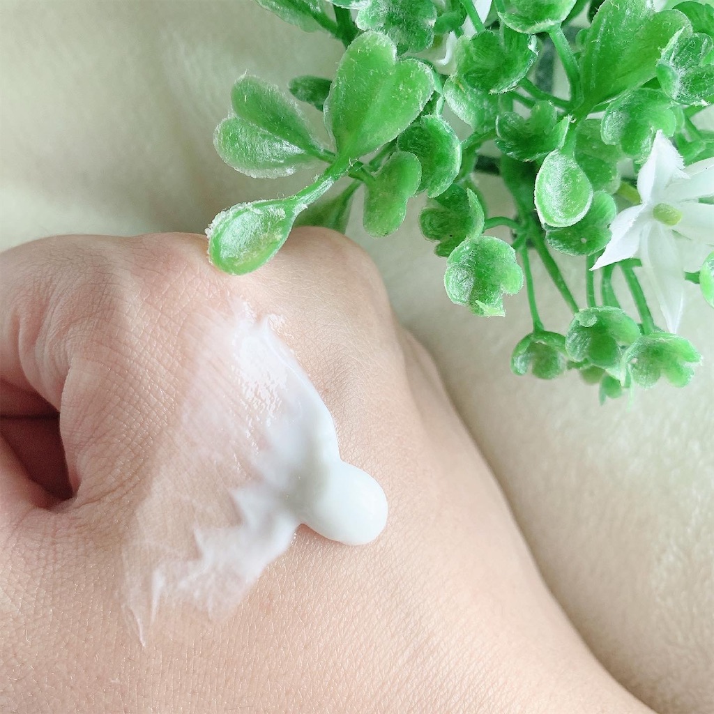 f:id:mari1212chang:20210612221210j:image