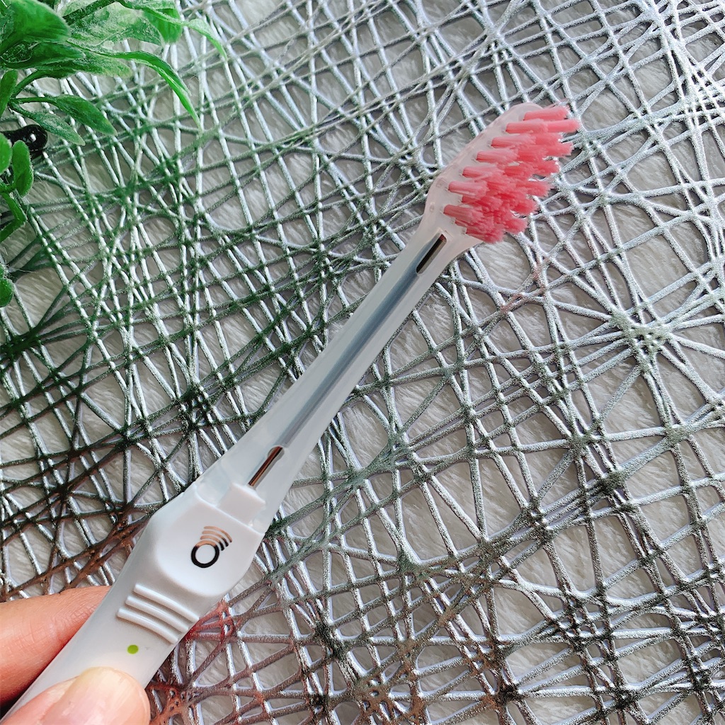 f:id:mari1212chang:20210628104125j:image f:id:mari1212chang:20210628104125j:image