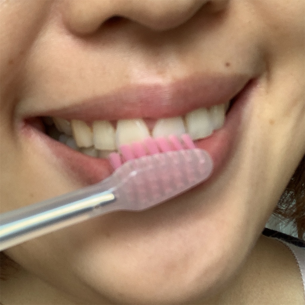 f:id:mari1212chang:20210628104249j:image f:id:mari1212chang:20210628104249j:image