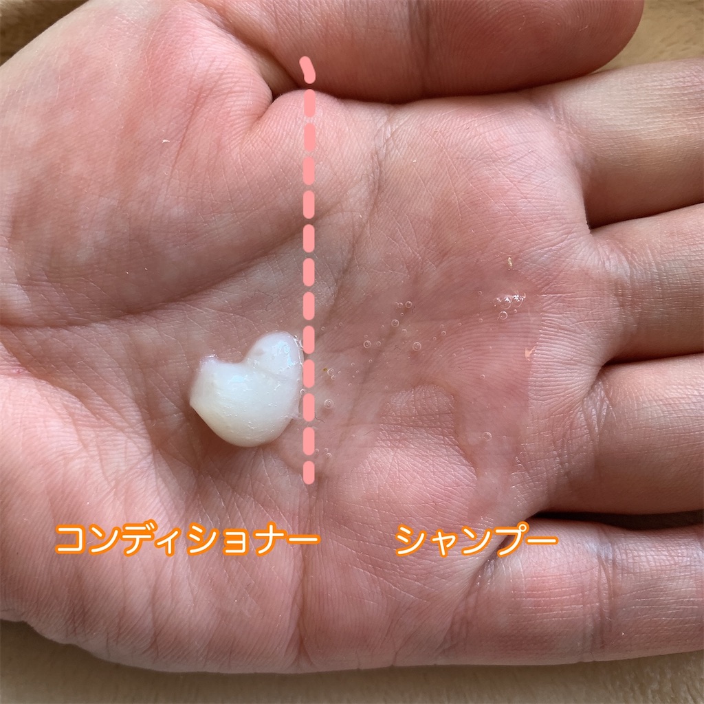 f:id:mari1212chang:20210821174307j:image