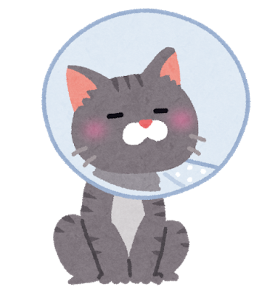 f:id:mari1216:20170329160155p:image