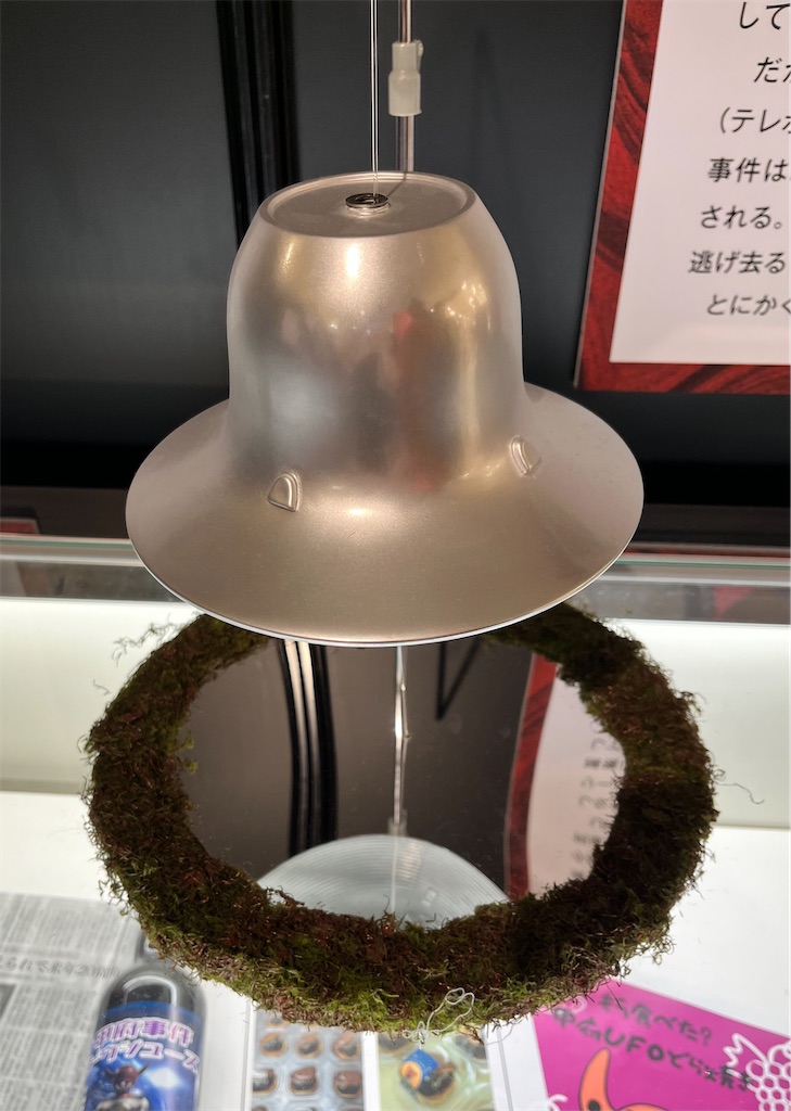 f:id:mari1216:20230802160354j:image