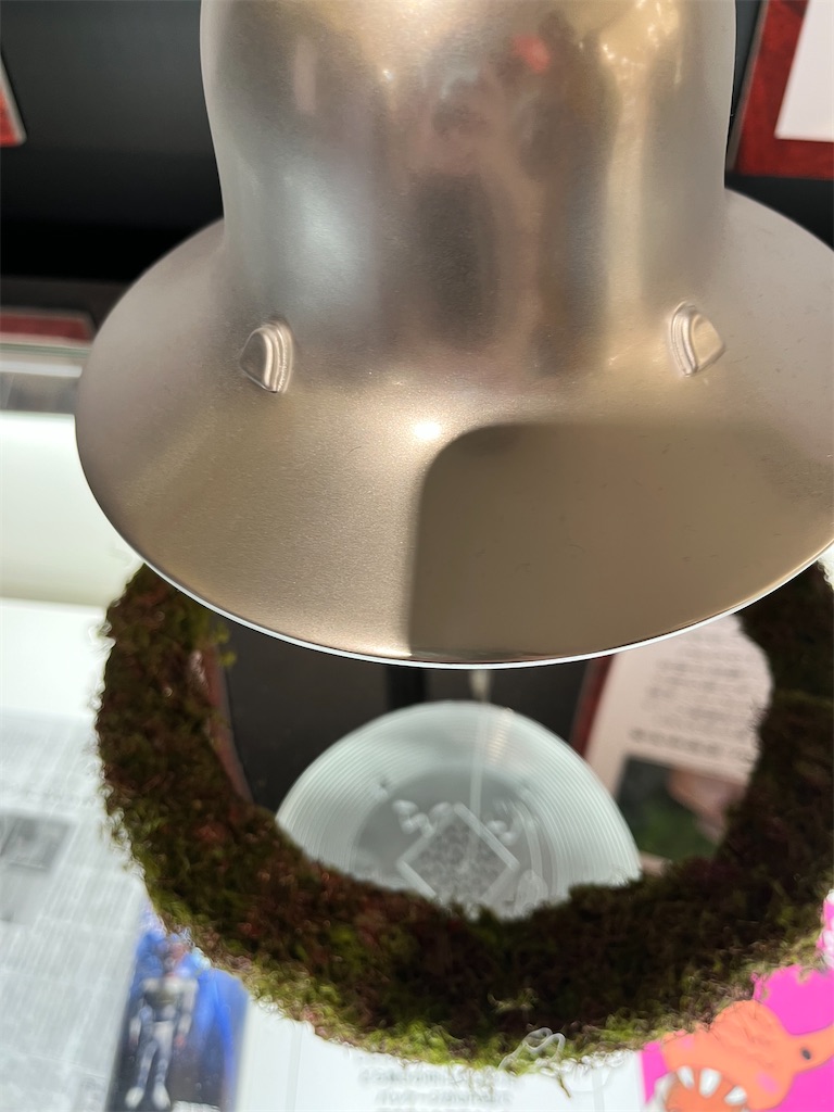 f:id:mari1216:20230802160430j:image