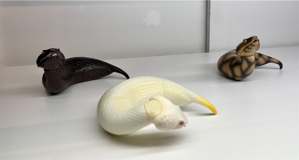 f:id:mari1216:20230802160818j:image