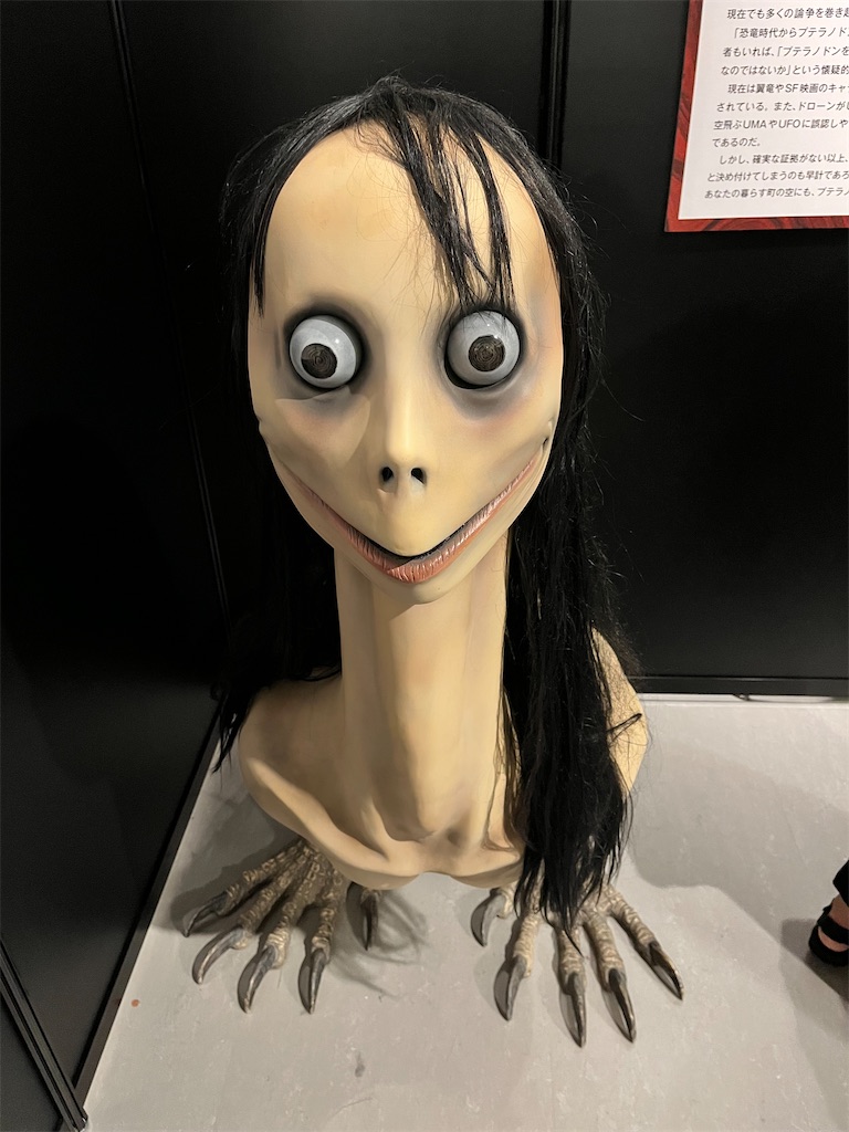 f:id:mari1216:20230802161621j:image