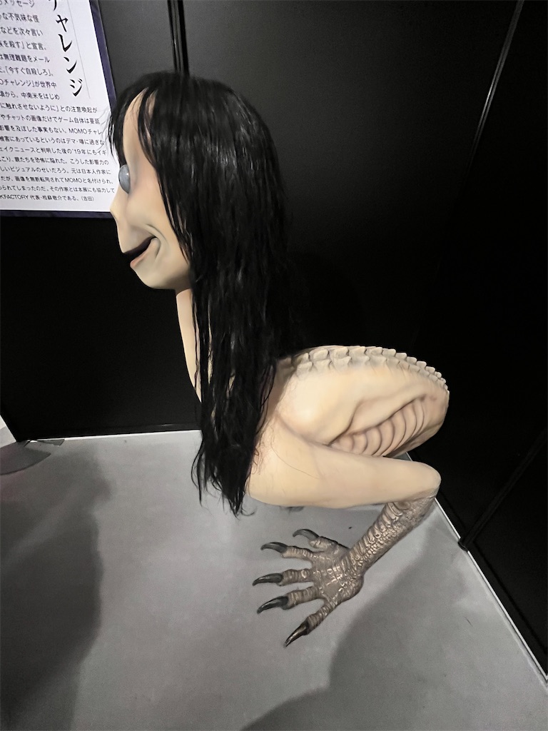 f:id:mari1216:20230802161624j:image