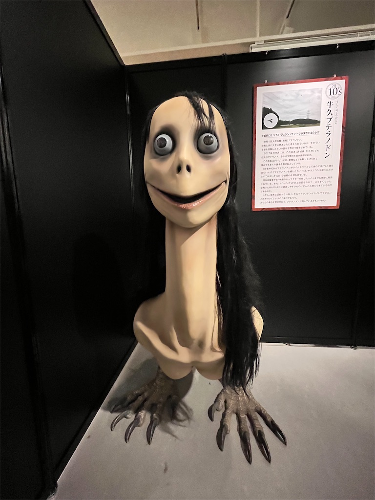 f:id:mari1216:20230802161627j:image