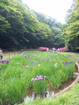 f:id:mari37:20100608150400j:image f:id:mari37:20100608150400j:image