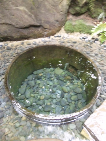 f:id:mari37:20100608154600j:image f:id:mari37:20100608154600j:image