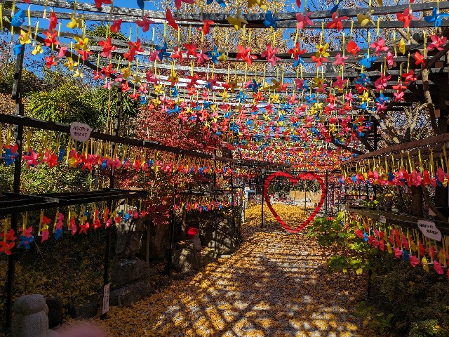 f:id:mari4324:20251006092443j:image