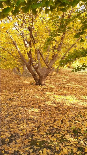 f:id:mari4324:20251006092504j:image