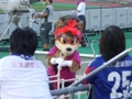 試合前にご挨拶に来てだべってる風なおばちゃん