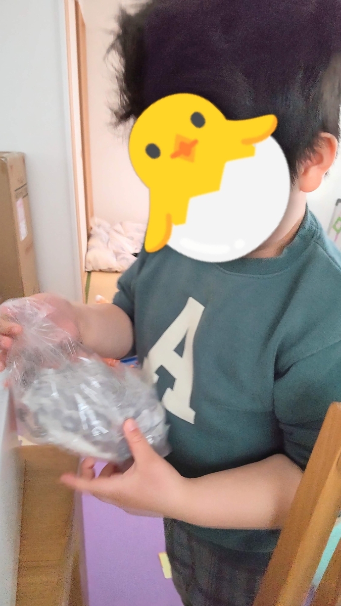 6歳8ヶ月と7日目】モフリンが我が家にやってきた!! - マリンカ日々の記録