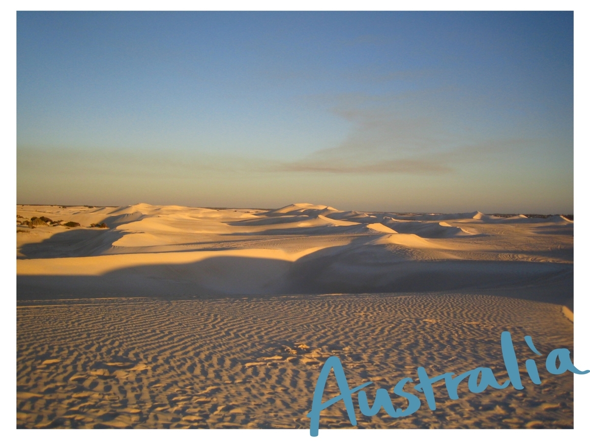 f:id:mari_quokka:20200817174519j:plain