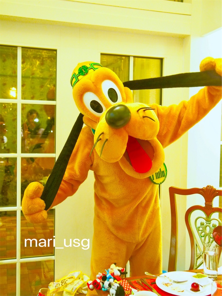 f:id:mari_usg:20190228191211j:image f:id:mari_usg:20190228191211j:image