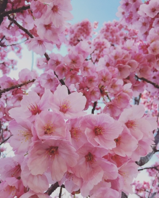 f:id:maria-ju:20220310154954j:plain