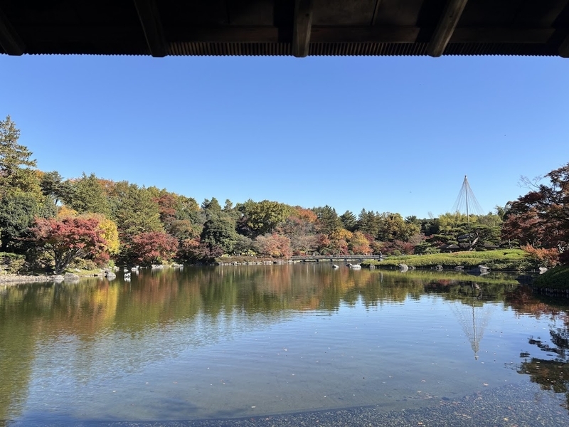国営昭和記念公園にある日本庭園の池と美しい紅葉。