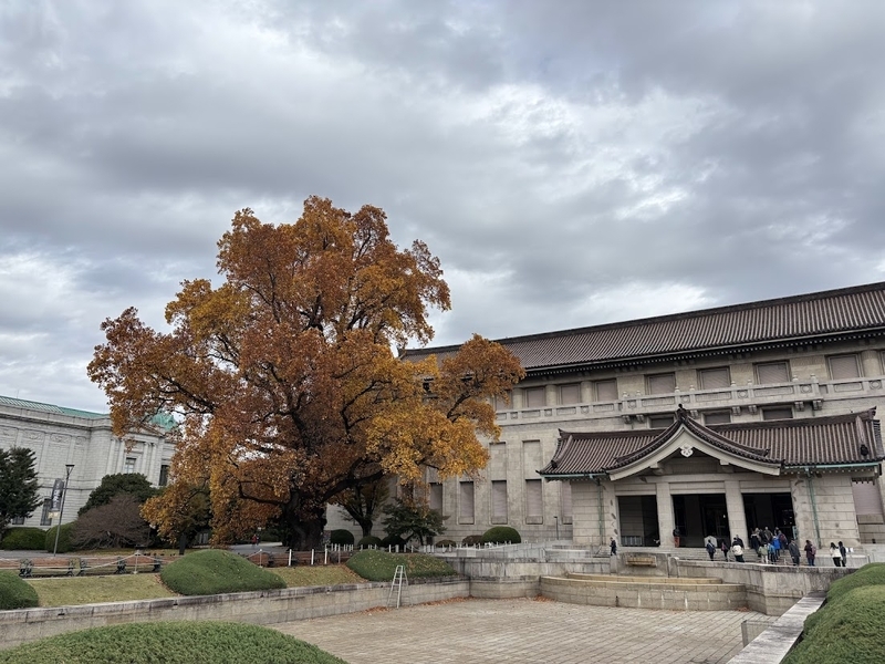 秋の木々に囲まれた東京国立博物館本館の外観。広い上野公園の広場越しに重厚な大屋根が見える景色。