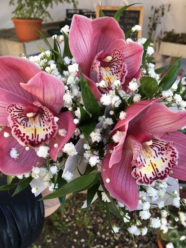 f:id:mariaitalia:20210203022708j:plain