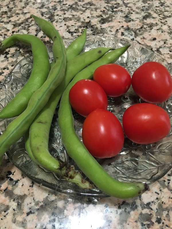 f:id:mariaitalia:20210204002907j:plain