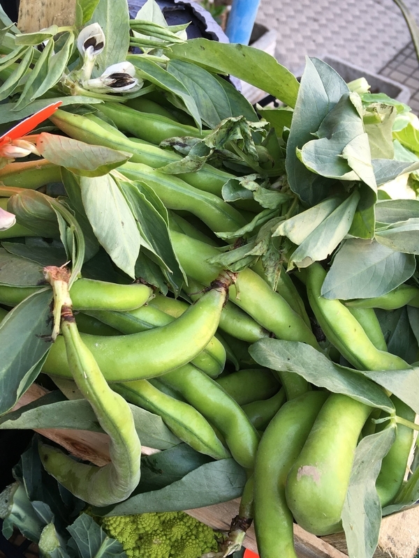 f:id:mariaitalia:20210204005705j:plain