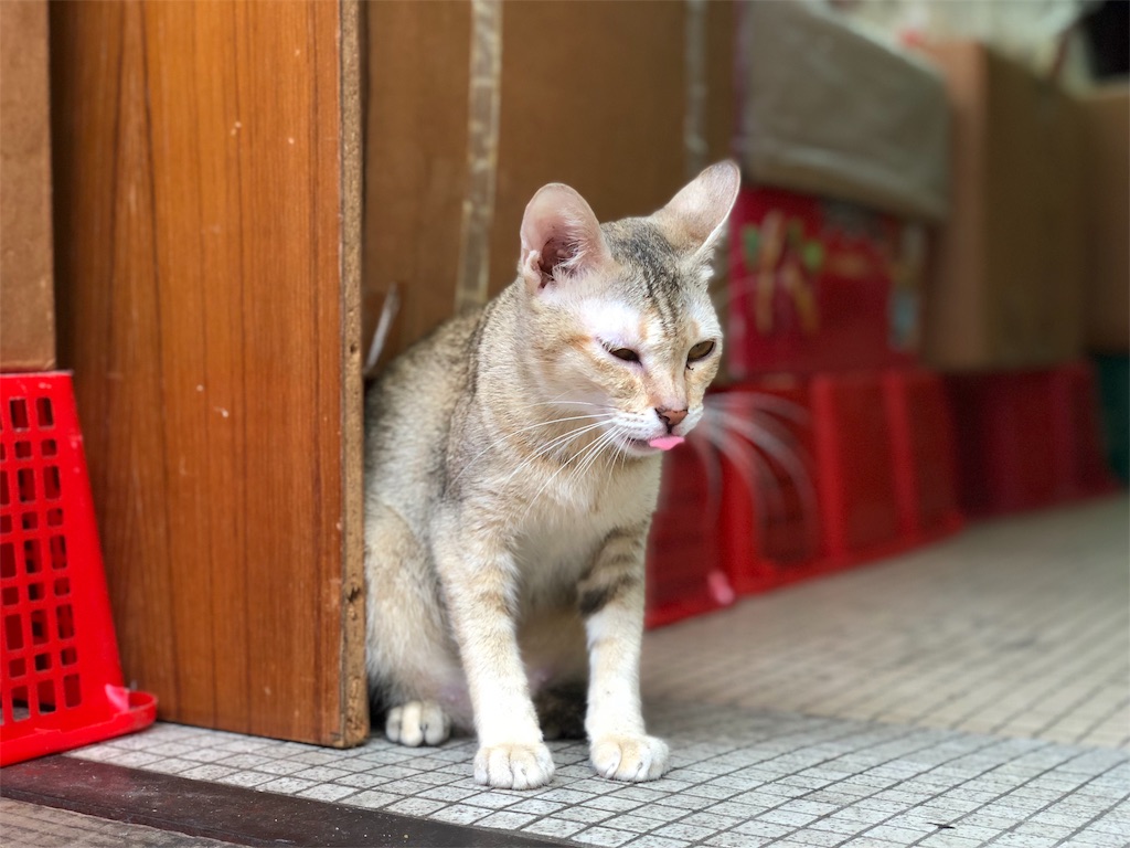 f:id:maricar9710:20181025214022j:image f:id:maricar9710:20181025214022j:image